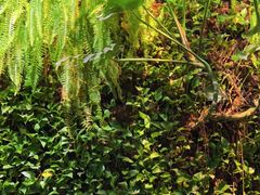 -HOME餐厅粤菜 融合菜