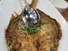 -喜上喜鸡煲翅(吉大店)