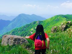 -白草畔自然风景区