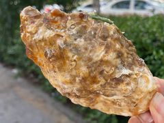 -1910老鲁味海鲜·戳子肉·青岛菜(金沙滩店)