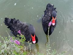 -春晖园度假酒店温泉