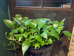 -手选潮汕鲜牛肉火锅(二七广场店)