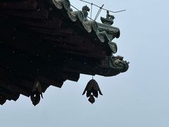 -隆兴寺