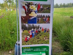 -汉长安城未央宫国家考古遗址公园