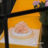 苏州｜高颜值蛋糕🧡亦是礼物‼️好吃又好看