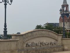 -荷兰花海