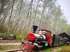 -合肥滨湖国家森林公园