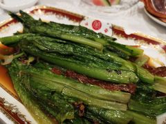 豆豉鲮鱼油麦菜-万宝海鲜舫(劳动公园店)