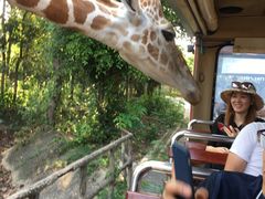 -清迈夜间动物园