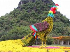 -南宁花花大世界景区
