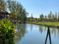 -溱湖国家湿地公园