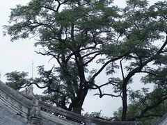 -龙华寺