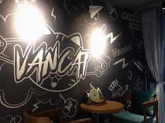 -梵猫·新养生(湛江鼎盛店)