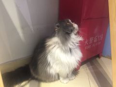 -小时光咖啡馆(开森度假森林店)
