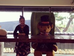 -济州岛泰迪熊博物馆