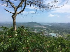 -海南槟榔谷黎苗文化旅游区
