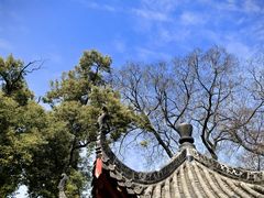 -长春观斋补堂素菜馆