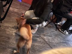 -gula