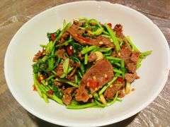 香菜炒牛肉-壹盏灯(惠农店)