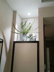 -香秀空间科技抗衰·美容中心