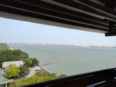 -大湾区中央湿地公园