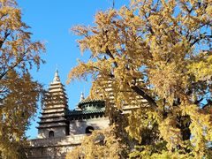 -北京石刻艺术博物馆(五塔寺)