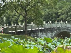 -上海海湾国家森林公园