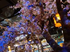 -绿茶餐厅(朝阳大悦城店)