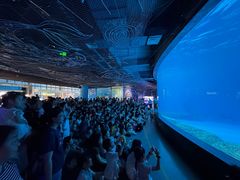 -海合安成都极地海洋公园