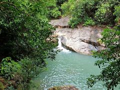 -广州白江湖森林公园