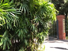 -晓港公园