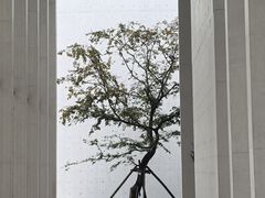 -中国宣纸文化园