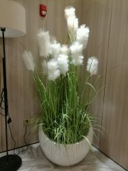 -CE·专业蛋白•羽毛接发·潮色烫染品牌店