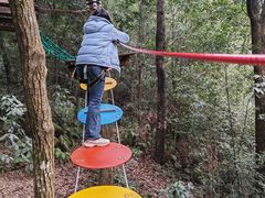 -衢州大荫山丛林飞越探险乐园