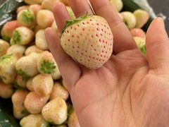 -西郊国际农产品交易中心