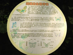 1.7-上海大自然野生昆虫馆