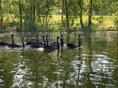 -长白岛森林公园