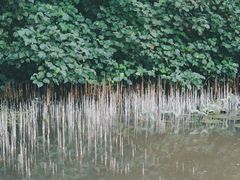 -沙美村