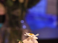 -双风车咖啡馆 Twin Windmills(六道口店)