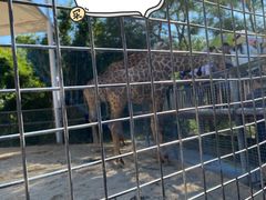 -泉州海丝野生动物世界