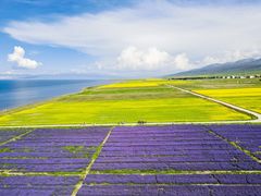 -青海湖国家重点风景名胜区