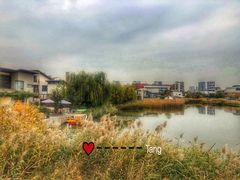 -天津东丽湖风景区