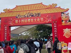 -天适樱花悠乐园