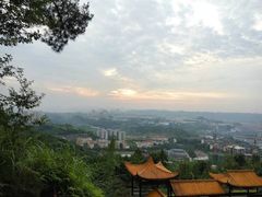 -铁山坪森林公园