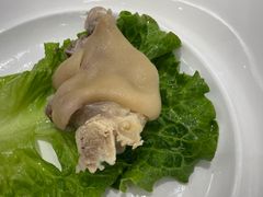 -丁老爷子苏香圆