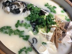 千岛湖招牌鱼头砂锅-姜君·千岛湖鱼头馆(浦东大道店)