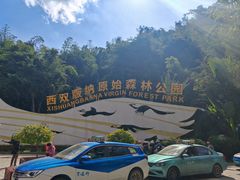 -西双版纳原始森林公园