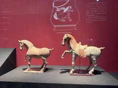 -陕西历史博物馆