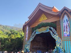 -西双版纳原始森林公园