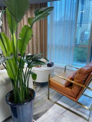 -洁铭新加坡医美